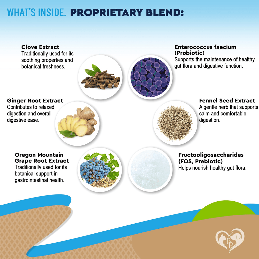 Natural Intestinal Defense for Dogs and Cats – Herbal Cleanse with Black Walnut, Wormwood, and Probiotics – Supports Healthy Gut and Flora Balance – Advanced Broad Spectrum Formula